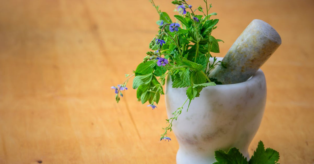 Top 5 Science-Backed Supplements for Natural Menopause Relief